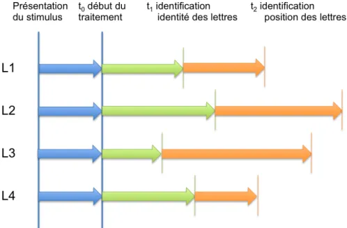 Figure 2.15 – Schéma du modèle LTRS (Adelman, 2011). Décours temporel de la re- re-connaissance d’un mot de quatre lettres, notées L1 à L4, par le modèle LTRS