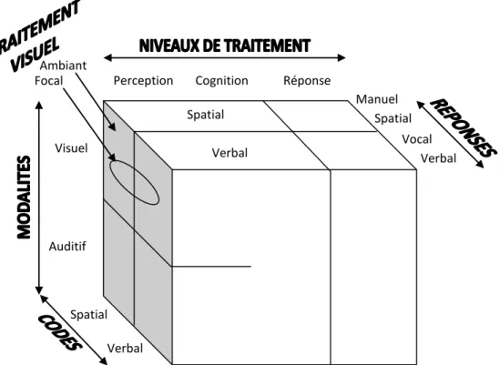 Figure 2. Représentation graphique (adaptée de l’anglais) des quatre dimensions de la théorie des ressources  multiples selon Wickens (2002, 2008)