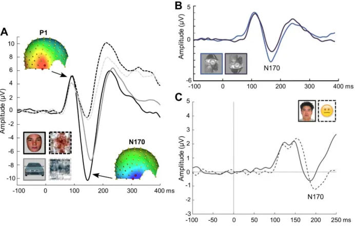 Figure 8. Réponses en potentiels évoqués observées en EEG de scalp  après la présentation d’un  visage ou d’autres stimuli visuels
