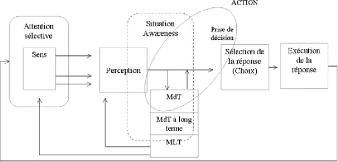 Figure 21 : Le pilote comme système de traitement de l’information (d’après Wickens, 2009)  Pour Wickens (2009), une conscience de la situation efficace « repose sur le déploiement d’une  attention sélective et du traitement d’un modèle mental précis de l’