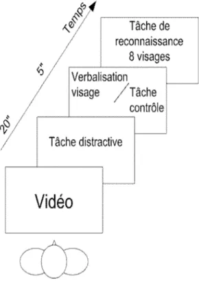 Figure 1. Structure de l’étude princeps de  Schooler et Engstler-Schooler, 1990. 