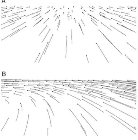 Figure 1.2: A. Vecteur du flux optique généré par un déplacement en ligne droite sur un sol plat