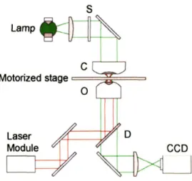 Figure 3-3: The optical design layout is shown for the escape force method optical tweezers instrument