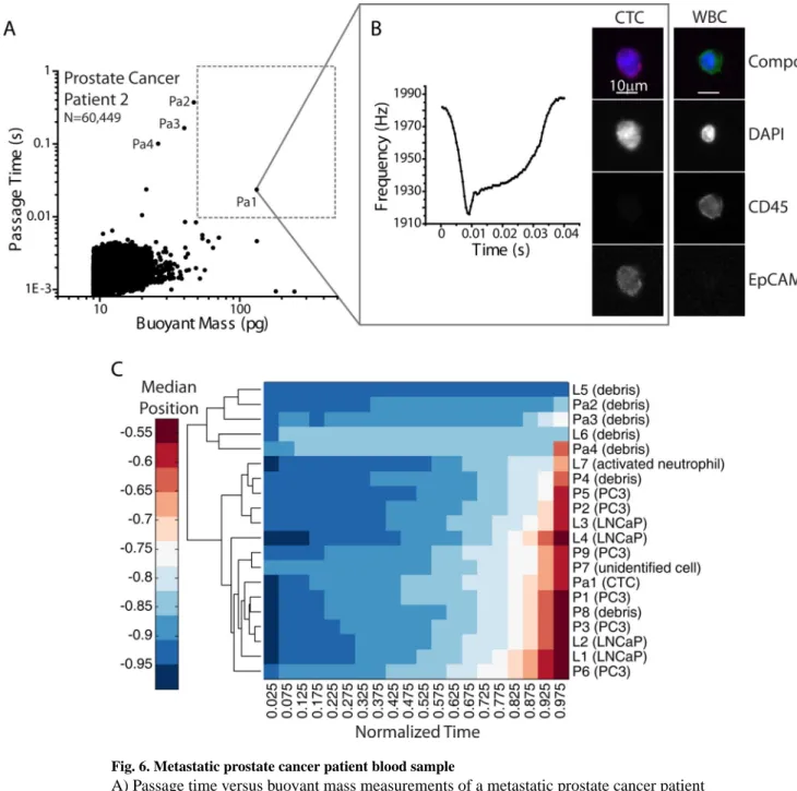 Fig. 6. Metastatic prostate cancer patient blood sample