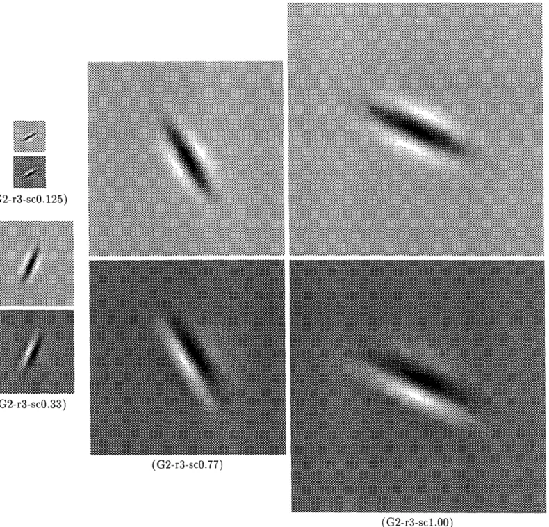 Figure  11:  The  kenel  at differentscales  and  orienations:  the  scals  are  (left  to rght)  0.125,  0.33