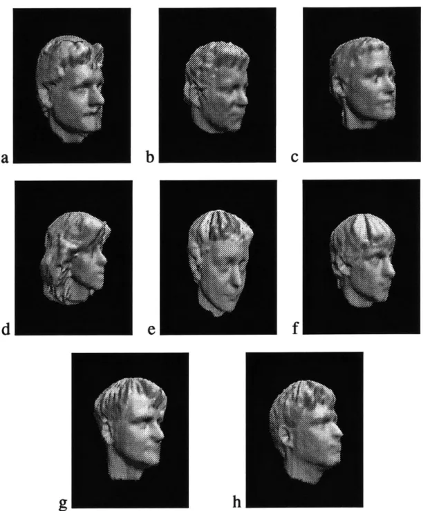Figure  3-1:  Eight  heads used  in our recognition  experiment.  Note  that in  some  cases  there is significant missing data.