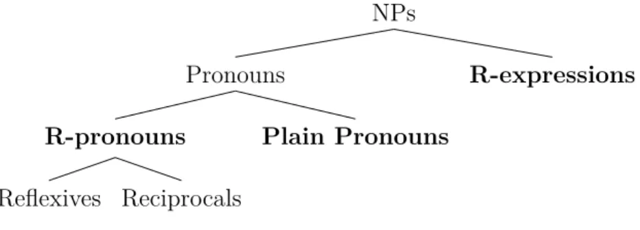 Fig. 2.3 C-Command Illustration