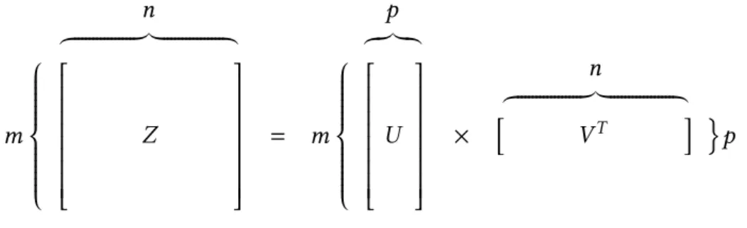 Figure 1.3: Low-rank matrix factorization.