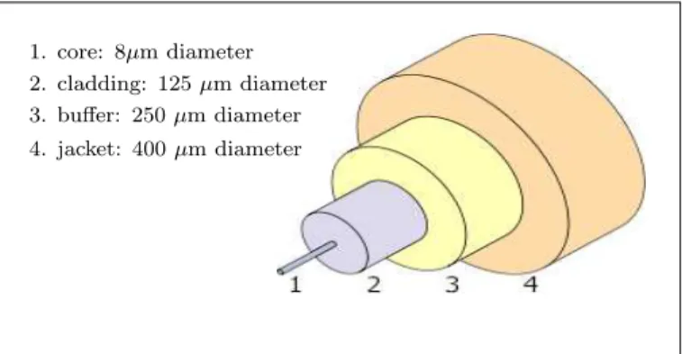 Figure 2.4: The structure of a typical single-mode ﬁbre