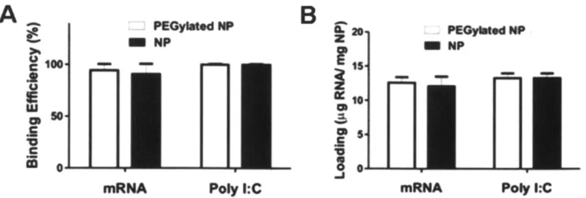 Figure 3-8.  Loading  of poly  I:C and mRNA  on  lipid-coated  PBAE  nanoparticles.