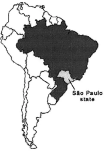 Figure  2 - Sao  Paulo State's  location  in Brazil and  South  America