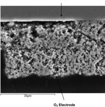 Fig. 8 SEM view of the electrolyte and O 2 -electrode [13]