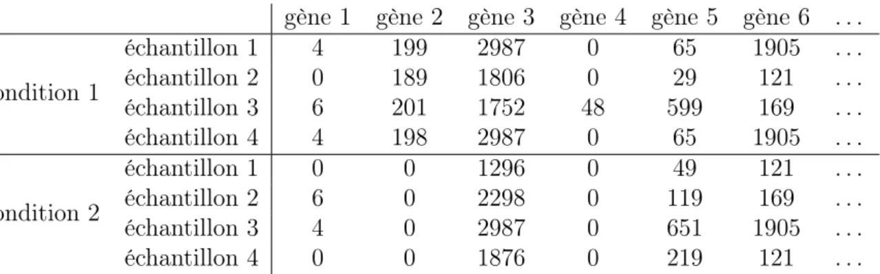 Table 3.2 – Tableau de comptages résumant l’abondance des reads par région géno- géno-mique d’intérêt pour deux conditions expérimentales avec quatre réplicats biologiques par condition.