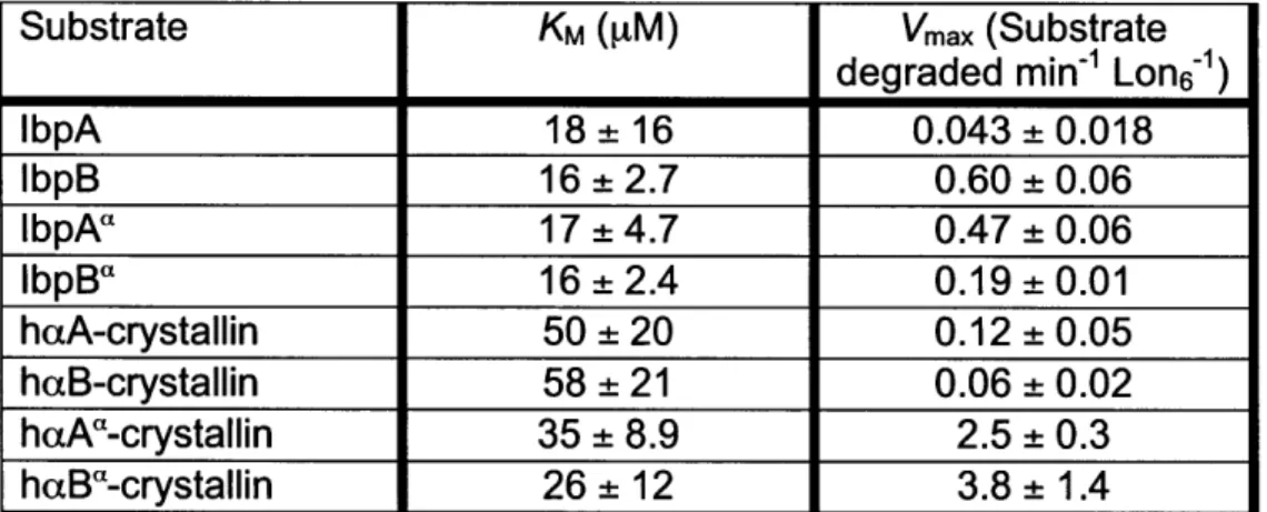Table  2.1:  Steady-state kinetic parameters  for Lon  degradation  of the  Ibps  and  the human  a-crystallin  proteins