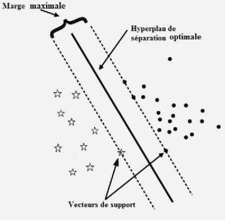 Figure 5 : Exemple de deux classes linéairement séparables par SVM 