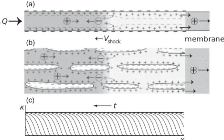 FIG. 2. Propagation of deionization shock in a straight mi- mi-crochannel (a) and a homogeneous microporous medium (b)