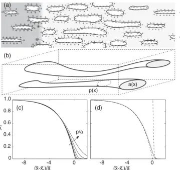 FIG. 4. Microstructures with varying pore size h p . The figure shows example of a porous medium (a) and a microtube (b)
