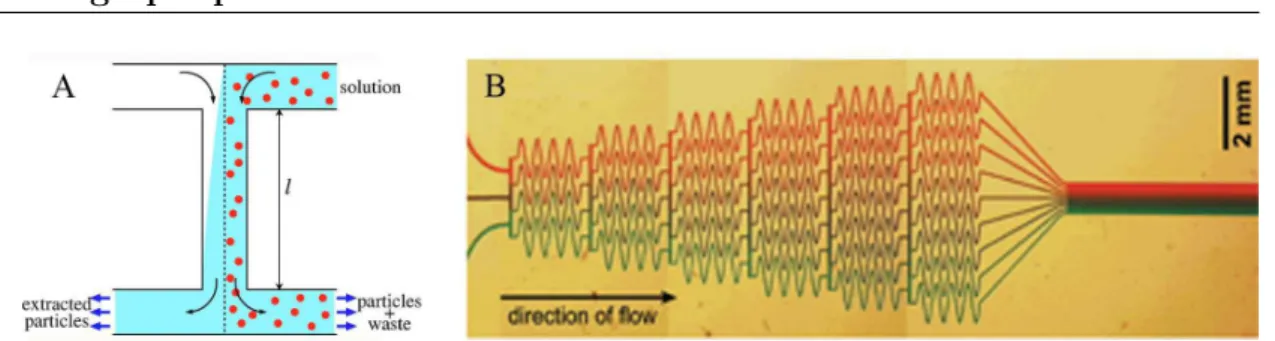 Figure 1.4 – Application de la diffusion dans les syst` emes microfluidiques. (A) Filtre en H