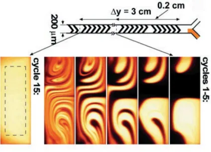 Figure 1.5 – M´ elangeur chaotique. Le flux s’´ecoule de droite ` a gauche. Extrait de [Stroock et al., 2002].