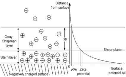 Figure 1.6 – Illustration de la double couche form´ ee sur une surface charg´ ee n´ egativement