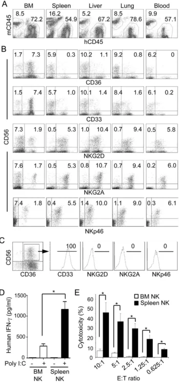 Figure 2.  Comparison of NK cell phenotype and function from different organs of humanized mice