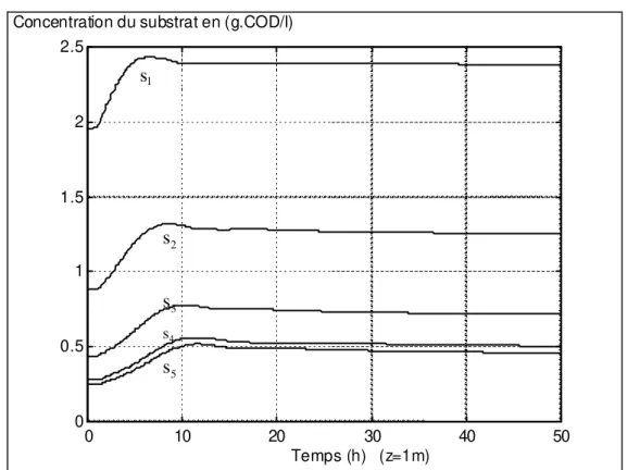 Figure 1.5. Evolution des concentrations de substrat aux points de collocation à z=1m   