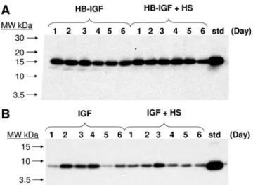 FIG. 3. Growth factor retention when mixed into initially unassembled acellular peptide