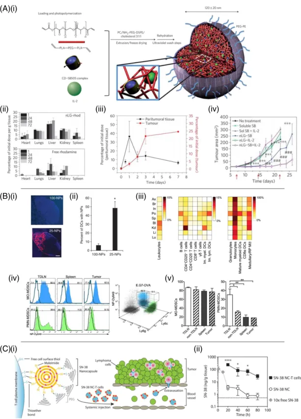 Fig. 5. Nanoparticles for systemic immunotherapy. (A)(i) Photoinduced polymerization of nanoscale liposomal polymeric gels forms a core-shell structure of biodegradable polymer (red) with a PEGylated liposomal coating (grey) capable of co-encapsulating IL-