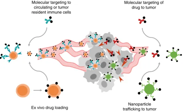 Fig. 6. Targeting immunomodulators to tumors or immune cells. Overview of strategies for targeted delivery of immunotherapy: Molecular or nanoparticle targeting can be directed to circulating immune cells or directly to the tumor; alternatively, nanopartic