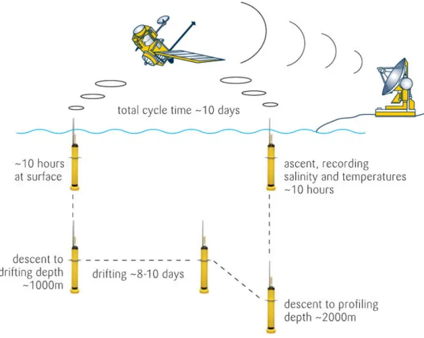 Figure 1.3 – Cycle de fonctionnement d’un flotteur profileur ARGO. Credits : Argo Information Centre.