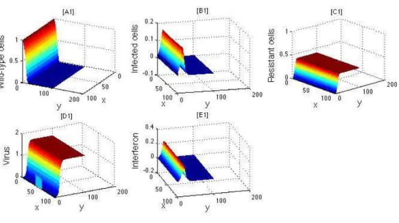 Figure 2.4: d v = 1, µ v = 0 and α v = 2.