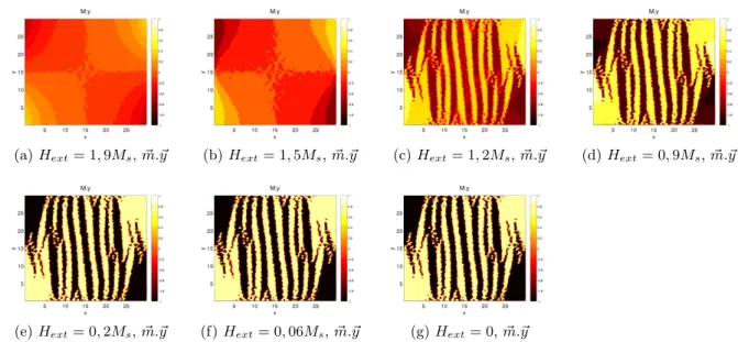 Figure 5 – Evolution de la microstructure sous chargement magn´ etique pour la variante de martensite 2