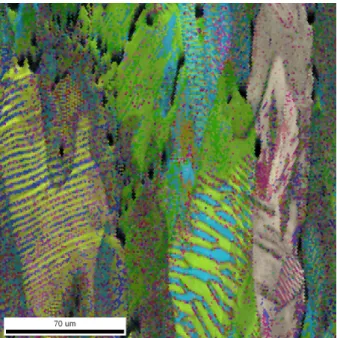 Figure 1 – Figure de pˆ oles inverse (obtenue par diffraction des ´ electrons - EBSD) d’un ´ echan- echan-tillon polycristallin de NiMnGa avec insertion de Bore