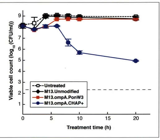 Figure 3-3: Viability and time course treatment of E. coli EMG2  cultures with 108 PFU/ml of unmodified M13 phage or engineered phage expressing Ponericin W3 or CHAP+