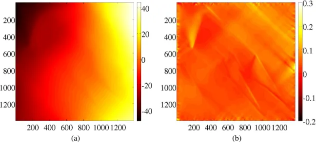 Fig. 2 – Champ de déplacement longitudinal en pixels (a) et champ de déformation longitudinal (b) obtenus par simulation par éléments finis pour une déformation macroscopique de 5% et avec un jeu initial de paramètres du modèle