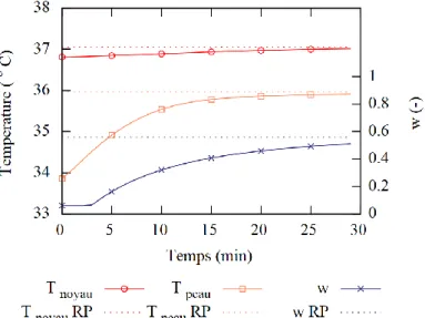 Figure 4 : Modèle Out_SET*, comparaison entre valeurs transitoires et permanentes des grandeurs  métaboliques pour une exposition à des conditions estivales (      =25°C,       =50°C,      =0.15 m/s)  