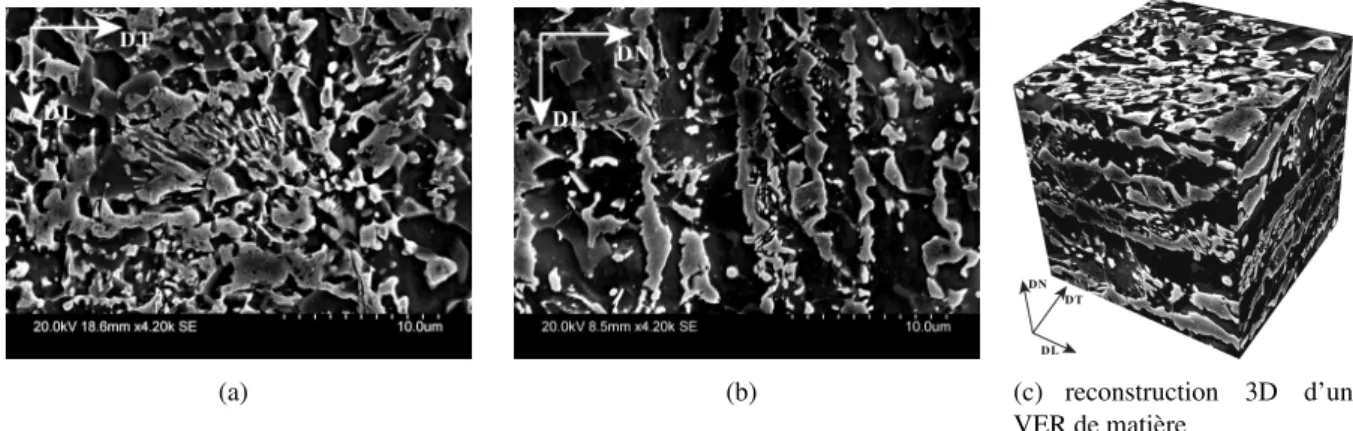 Fig. 1 – Microstructure d’un acier dual phase (a),(b),(c) : martensite en blanc, ferrite en sombre.