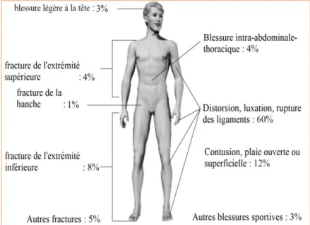 Figure 2.1 Répartition relative des blessures sportives par type et lieu (hommes et femmes)