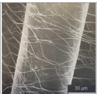 Figura 12.   Imagem MEV de um fio de cabelo recoberto por nanofibras [WENDORFF,  2012]