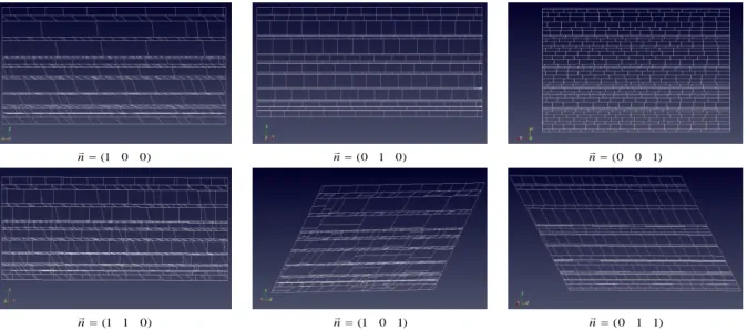 Figure 2.24 Quelques plans de fracturation à l’intérieur du massif après discrétisation ( les trois en haut selon les  trois vecteurs de la base canonique, les trois en bas selon des combinaisons linaires des vecteurs de la base canonique )  La  figure  su