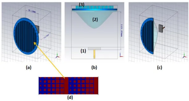Figure 51 : Disposition des différents éléments pour la simulation du prisme sub-longueur  d’onde