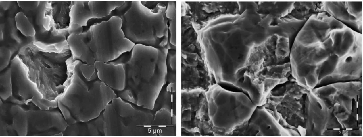 Figure 1.20: Grain ruptures on the initial surface of H300 after 50’000 impacts at impact velocity V = 225 m.s −1 [LUI 13].