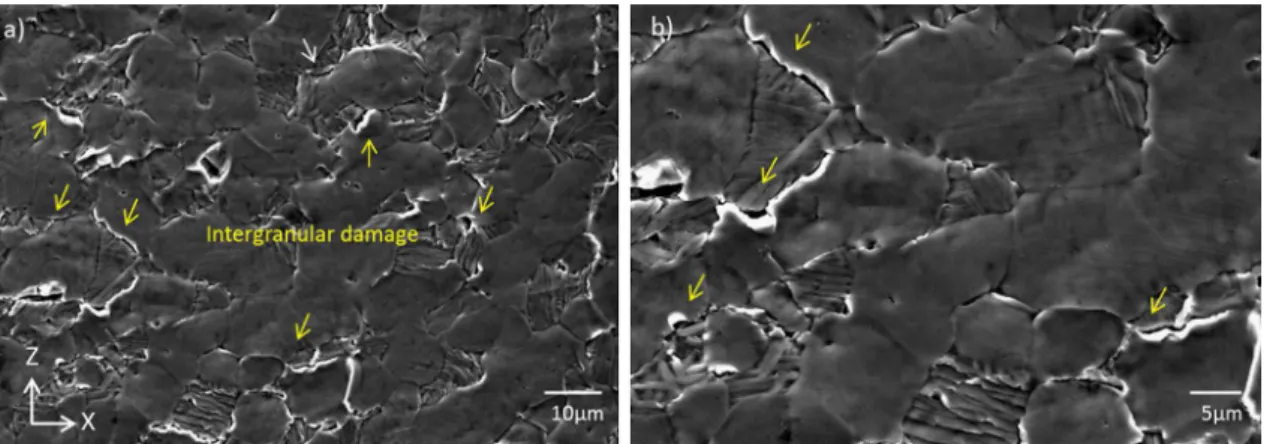 Figure 1.23: Intergranular damage observed on Ti-6Al-4V, at impact velocity V = 350 m.s −1 , (a) large scale and (b) high magnification