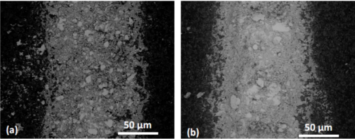 Figure 11: Backscattering SEM surface micrographs of a silver ink printed on LTCC tape before sintering: (a) 3 kg (b) 5 kg