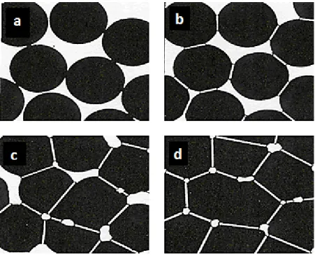 Figure 1.4: Different sintering stages: a and b - Early stage, c -Intermediate stage d - Final stage [48]