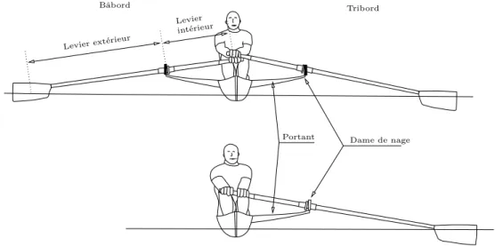 Figure I.10 – Vue de face d’un rameur de couple (haut) et d’un rameur de pointe (bas) Le levier intérieur est lui mesuré entre le bout de la poignée et la face extérieure du collier (cf