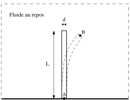Fig. 3.5: Poutre encastr´ee en A dans un fluide au repos