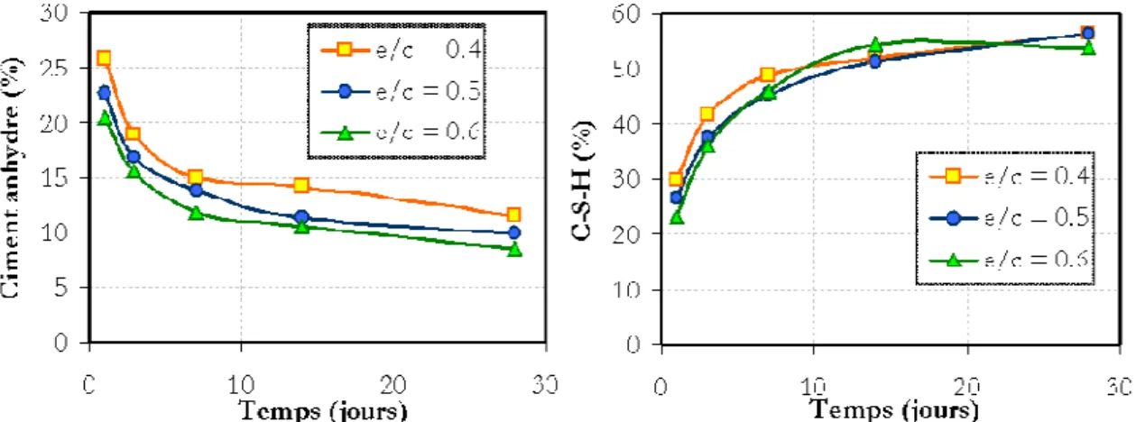 Figure 1-6 : Évolution de la phase anhydre et des C-S-H pendant la réaction d’hydratation  (% 