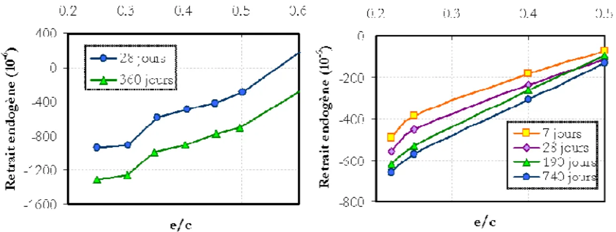 Figure 1-44 : Corrélation entre le retrait endogène et le rapport eau – ciment (adaptation de  [BAR06] à gauche et [MIY05] à droite) 