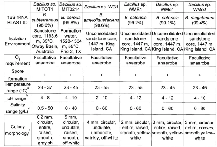 Table  3.  ScCO 2  enrichment  isolate physiology